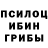 Псилоцибиновые грибы GOLDEN TEACHER Pren Katiw