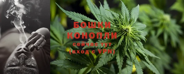 твердый Белокуриха