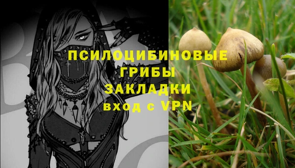 дурь Беломорск